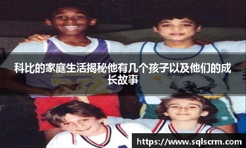 星空体育官网版