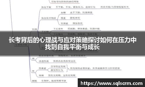 星空体育官网入口