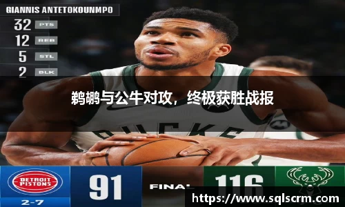 星空体育官网入口